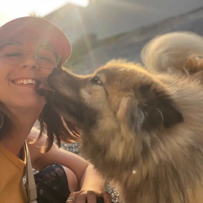 Chien au pelage roux léchant le visage d'une femme, à contre-jour